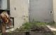 thum-m_EchCSDKlr5_1742476983.jpg