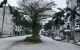 thum-9184530_GDgw6YFrBc_1742545627.jpg