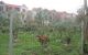 thum-9184544_1j6TSR0NOU_1742547899.JPG