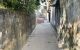 thum-9184583_cDL3lPSmNb_1742563566.jpeg