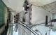 thum-9184584_1P35NWEtDR_1742563803.jpeg