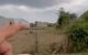 thum-9184607_mhzDxZrdUO_1742578793.jpg