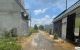 thum-m_NEMOY2wzjV_1742579855.jpg