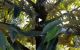thum-m_lWK7Ue2ont_1742636757.jpg