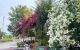 thum-9185080_y4MG2jNvng_1742801262.jpg