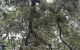 thum-9185323_0wzRPvHe7O_1742887274.jpg