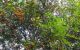 thum-m_5oDiPmM4EK_1742887262.jpg
