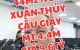 thum-m_9v0jy1zgwO_1742914754.png