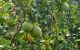 thum-9185541_JDVq4l2cBy_1742962200.jpg
