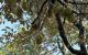 thum-m_DgcMEhsyPu_1742962197.jpg