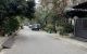 thum-m_gNYeu0Fvh7_1742975858.jpeg