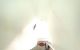 thum-9185848_VFflUBqJoy_1743090258.jpg