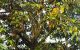 thum-9185930_2ZF18rn3TR_1743133767.jpg