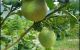 thum-9186125_FTr3OzYSyw_1743222853.jpg