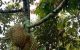 thum-9186125_ayUOXjdzsQ_1743222885.jpg