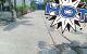 thum-9186163_fytMwFSZm8_1743240025.jpg