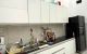 thum-9186365_EXpiaW6JnS_1743386334.jpeg
