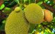 thum-9186448_rwFvslABSt_1743403169.jpg