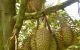thum-m_zw9K8orCYU_1743403146.jpg