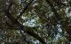 thum-9186634_n215eYXCTr_1743476671.jpg