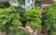 thum-m_GFj0OQ5vqK_1743477154.jpg