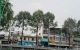 thum-9186812_CfJs5FU9O3_1743561583.jpg