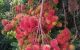 thum-9186834_axnp45EwKB_1743564866.jpg