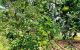 thum-9186895_NHuBdyq4xm_1743581904.jpg