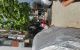 thum-9187117_LB2bRlkhwj_1743664884.jpg