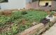 thum-9187210_jHFS7rgtnC_1743721478.jpeg