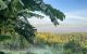 thum-9187282_dDznHgsQq6_1743739767.jpg