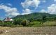 thum-m_XcUIJilVG5_1743745541.jpg