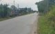 thum-9187544_RyNzfPCBs1_1743875750.jpg