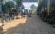 thum-9187575_SWTfZikX1d_1743917906.jpeg