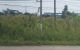 thum-m_qLU4DNjnFd_1743875745.jpg