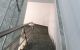 thum-9187667_ZHiyFs8Vlz_1744000020.jpeg