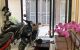 thum-m_D4quvrTN6f_1744024778.jpg