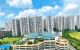 thum-m_eAbnGKPurL_1744026693.jpg