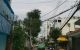 thum-m_AJsjz2fr0X_1744092060.jpg