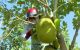 thum-m_ykHnNgOevw_1744081054.png
