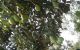 thum-9187997_3LqDvobKQ5_1744168507.jpg