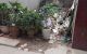 thum-m_Dx9UgkEBvM_1744165520.jpg