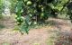 thum-9188230_hmPlg7LZ0B_1744258689.jpg