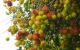 thum-m_eBD5T6WP9k_1744258694.jpg