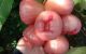 thum-9188408_f6ADkQpqdL_1744341047.jpg