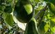 thum-9188647_ON0QCGDKjr_1744440153.jpg