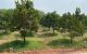 thum-9188676_HhzLoVDG9f_1744447636.jpg