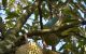 thum-9189377_Z8X0gFyDAV_1744785822.jpg