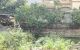 thum-m_C2qaxr5jY6_1744955178.jpg