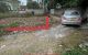thum-9189950_khpMP17zGb_1745028707.jpg